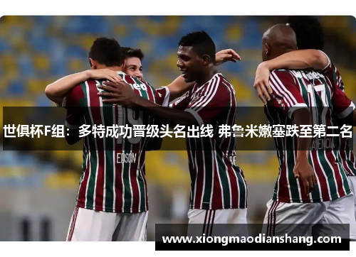 世俱杯F组：多特成功晋级头名出线 弗鲁米嫩塞跌至第二名
