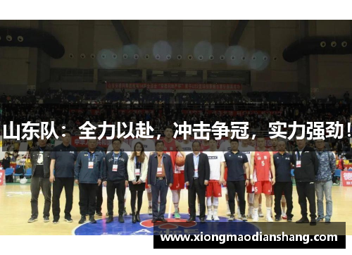 山东队：全力以赴，冲击争冠，实力强劲！